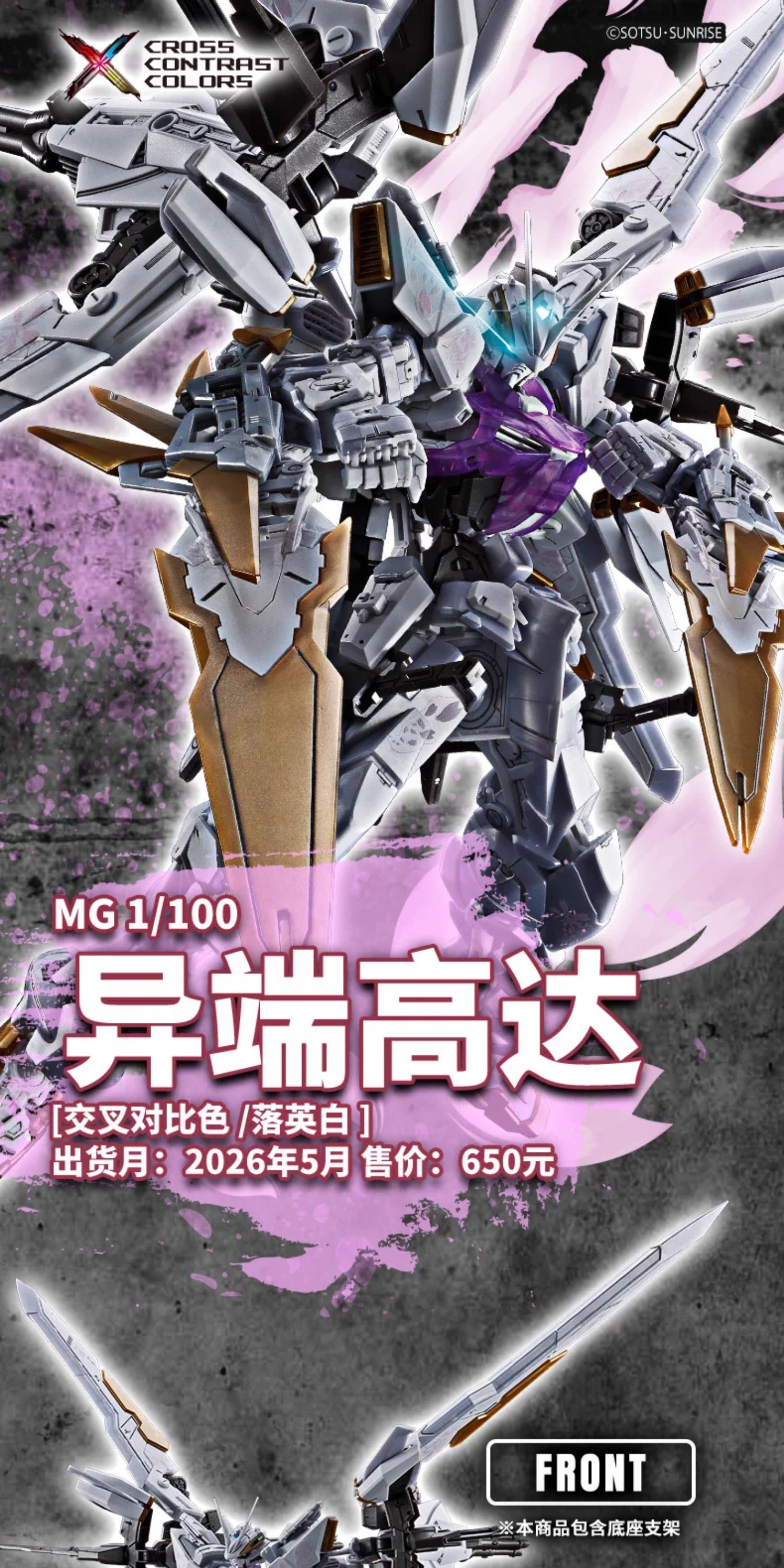 Bandai Chinese Exclusive: MG 1/100 Gundam Astray Turn Blue