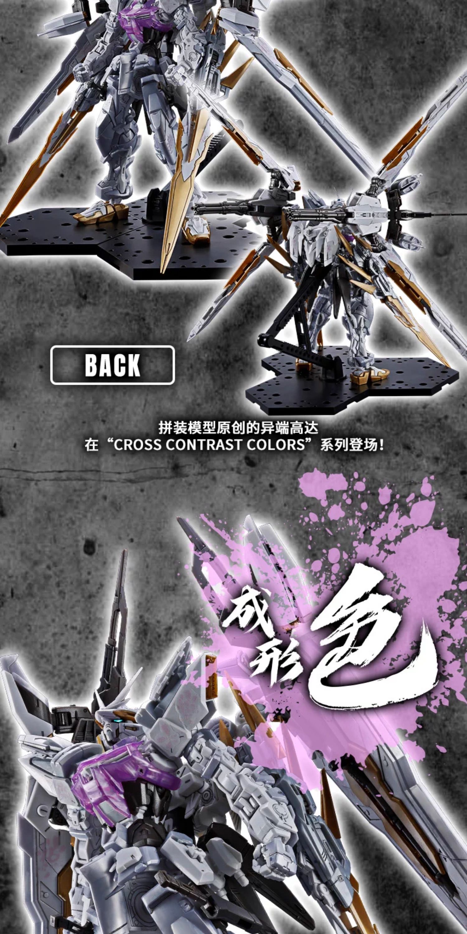 Bandai Chinese Exclusive: MG 1/100 Gundam Astray Turn Blue